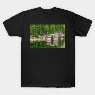 Cabin in the Lake T-Shirt